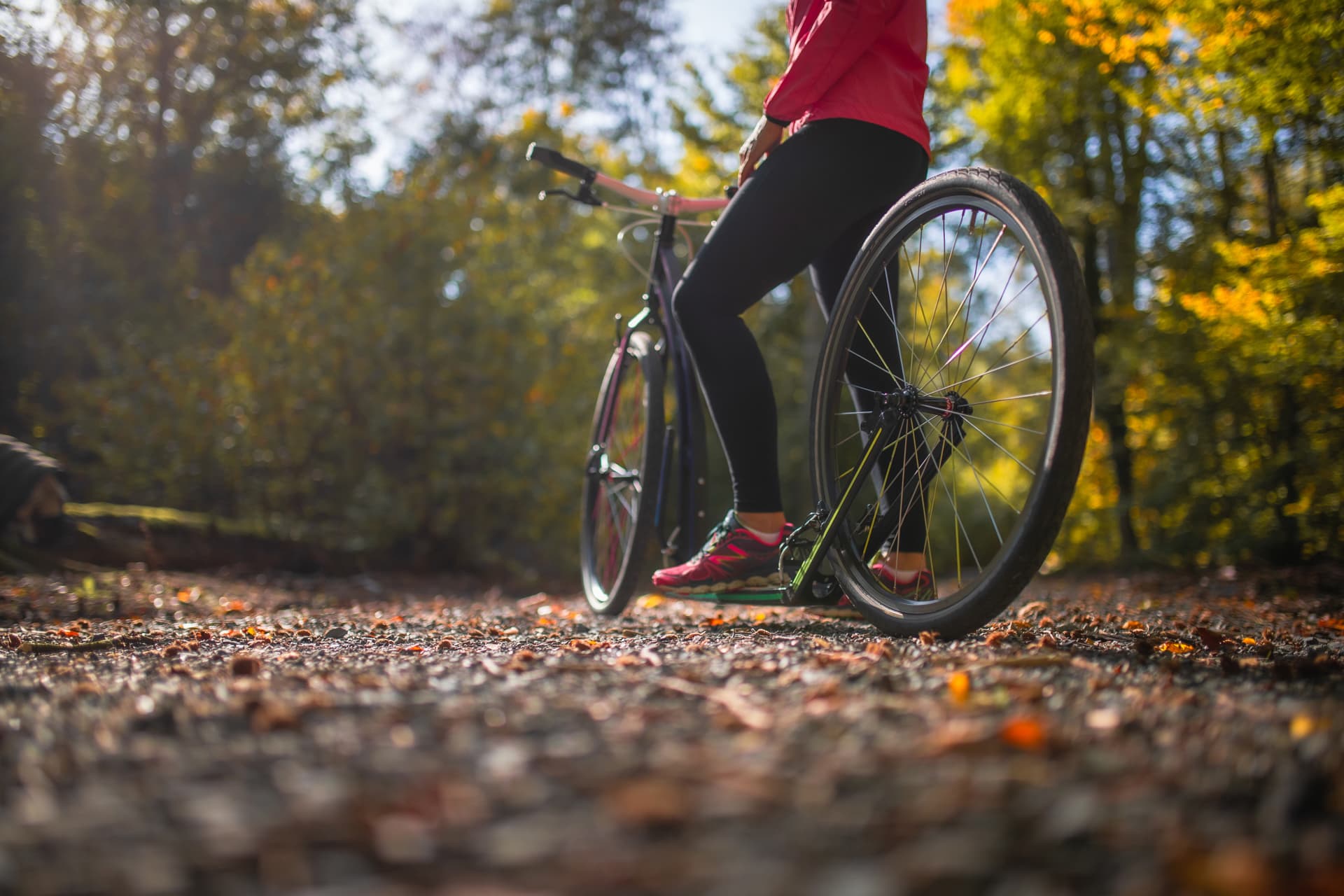 Tretroller im Herbst